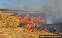 Чүй облусунда 3 гектар куураган чөп, 6 баш кой күйүп кетти