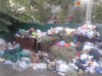 ЭЛДИК КАБАР: Ош шаарынын Масалиев көчөсүндөгү №55-үйдүн жанындагы таштанды тазаланбай жатат