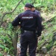 Орусияда Кыргыз жаранынын бакка асылган жансыз денеси табылды