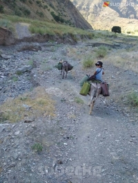 ЭЛДИК КАБАР: Аксыдагы Кызыл-Бейит айылынын жолу жаз мезгилинде жүргөн селден эмдигиче тазалана элек