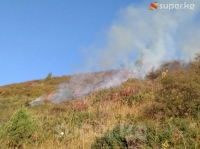 Ысык-Ата районунда 15 гектар бадал, куураган чөп күйүп кетти (фото)
