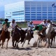 Бүгүн Чолпон-Ата шаарында көк бөрү боюнча президенттин кубогунун 3-турдук оюндары өтөт