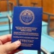 Гүлмира Кудайбердиева: "Аттестат жазууда ката кетирген кызматкерлерге башкалардын өтүнүчү менен жөн гана эскертүү берилип, сөгүш жарыяланды"