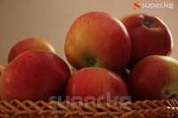 Бишкектеги Ботаникалык бактын илимий кызматкери: "Алманын түшүмдүүлүгү азайып, ооруга дуушар болууда"