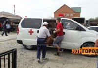 Казакстанда "Тез жардам" унаасына койлорду жүктөп алгандар кызуу талкууга түштү