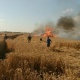 Өлкө аймагында жыл башынан бери 30 гектар дан азыктары күйүп кетти