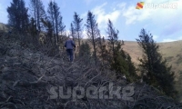 Ысык-Көл районунун Темир айыл аймагындагы капчыгайдан чыккан өрт бир суткага жакын убакыттан бери өчө элек