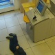 Германияда эс-учун жоготуп кулап түшкөн пенсионерге жардам бербей койгондор соттолууда