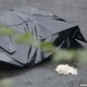 Ысык-Көлдө белгисиз адамдын жансыз денеси табылып, аны таануу кыйынга турууда