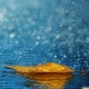 Шашылыш билдирүү! 29-30-сентябрда өлкөнүн тоолуу райондорунда катуу жаан жаашы күтүлөт