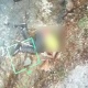 ӨКМ: "Израилден келген турист кыз аскадан кулап каза болгон"
