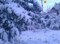 Өлкөнүн аймактарында кар жаады. Кыргыздар кардын эрте жаашын "кыш бала салып койду" деп айтчу, андайда кыштын жылуу болушу күтүлөт (фото)