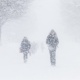 Шашылыш билдирүү! 12-январдан 16-январга чейин өлкө аймагында кар калың жаап, абанын температурасы кескин төмөндөйт