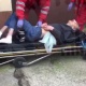 Орусияда медайымдар бейтапты гаражга таштап кетишкен