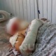 Базар-Коргондогу 6 адамды бычактаган деп айыпталган жаранды райондук сот өмүр бою эркинен ажыратты