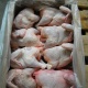 Ветеринардык инспекция канаттуулардын этине чектөө боюнча айткан депутатка жооп берди