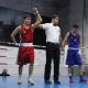 Бишкекте бокс боюнча шаардын чемпиондору аныкталды
