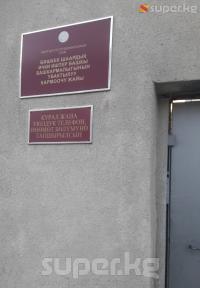 Бишкекте 90 жаштагы абышканы мас абалында себепсиз сабаган адам 2 айга камакка алынды