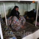 Суук түшкөнүнө байланыштуу Бишкекте үй-жайы жоктор үчүн убактылуу баш калкалоочу жайлар ачылды (даректери)