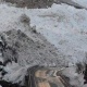 Мырзаке-Кара-Кулжа-Алайкуу унаа жолуна кар көчкү түшүп жол жабылды