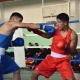 Бүгүн Бишкекте бокс боюнча Өлкө чемпиондугу старт алды