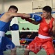 Мирлан Түркбай уулу жана Шахриза Халилова бокс боюнча Өлкө чемпиондору аталышты (жеңүүчүлөрдүн тизмеси)
