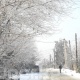 Шашылыш билдирүү! 24-25-ноябрда өлкө аймагында туруксуз аба ырайы күтүлөт
