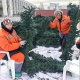 Бишкектеги "Ала-Тоо" аянтына 25 метрлик балаты орнотулуп, аянттагы жасалгаларды камтыган композиция "Кышкы жомок" деп аталат