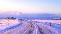 Казакстанда кичи автобустун күйүүчү майы тоңуп жолдо калган 19 Кыргыз жараны куткарылды