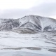 Нарында эки баласы менен жайлоого кетип дайынсыз болуп жаткан жаран аман-эсен табылды