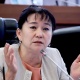 Депутат парламенттин телеканалы, музейи, китепканасы болушу керектигин айтты