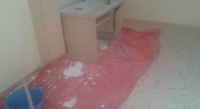 Депутат тууну жумушчуларга жерге төшөөгө уруксат бергени үчүн "Сулайман-Тоонун" башчысын жоопко тартууну сунуштады