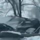 Алматы-Бишкек жолунда 12 машинанын катышуусунда жол кырсыгы катталды