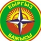 Бажы кызматы Ош бажысындагы төлөмдөр ротациядан улам көбөйүп жатканын билдирди