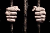 Ошто Сириядагы согушка катышып келген 22 жаштагы жаран 5 жылга эркинен ажыратылды