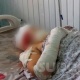 Базар-Коргондогу кандуу окуя. Бычакталган келин менен апасынын абалы оор (фото)