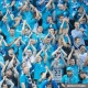 Орусияда өтө турган футбол боюнча Дүйнө чемпиондугунда көрүүчүлөргө стадионго баңгизат жана психоактивдүү каражаттарды алып кирүүгө уруксат берилет