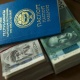 Депутаттар 98 Кытай жаранына Кыргыз паспортун берген адамдардын жоопкерчилиги боюнча маалыматтарды сурады