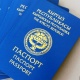 Кыргыз паспортун мыйзамсыз алган 4 Кытай жаранына жана паспорт берген жетекчиге карата кылмыш иши козголду