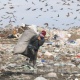Жайы-кышы дебей түтөп, өчпөгөн таштанды таштоочу жайдан фоторепортаж