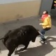 Испанияда майрам учурунда бука сүзүп салган киши каза болду