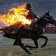 Мыкты спортчулардын ысымы "Көчмөндөр оюндарынын жеңүүчүлөр китебине" кирет