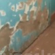 ЭЛДИК КАБАР: "Аскер шаарчасындагы жатаканалардын абалы начар, ай сайын берген акчабыз кайда кетет" дейт окурман