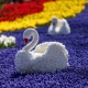 Стамбул шаардык мэриясы жоогазынга 2 миллион 500 миң доллар сарптады