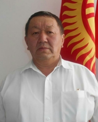 Тогуз-Торонун акими иштен алынды