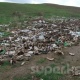 Таш-Булак айылынын тургуну: "Базар-Коргондогу таштанды таштоочу жайдын иттери малдарга, адамдарга кол салууда"
