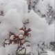 Кыргызгидромет: "Өлкөнүн аймагында жаан-чачындуу аба ырайы 20-апрелге чейин уланат"