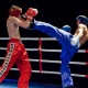 Чолпон-Ата шаарында кикбокс боюнча Азия чемпиондугу өтөт