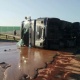 Польшада 12 тонна суюк шоколад жолго төгүлдү