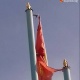 ЭЛДИК КАБАР: "Өзгөндөгү Дөң-Булак айыл өкмөтүнөн тууну кордобоону өтүнөм" дейт окурман